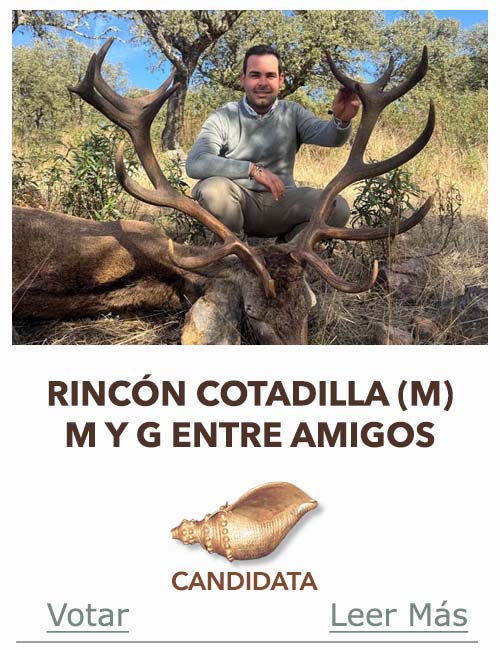 Monteria Candidata a Caracola